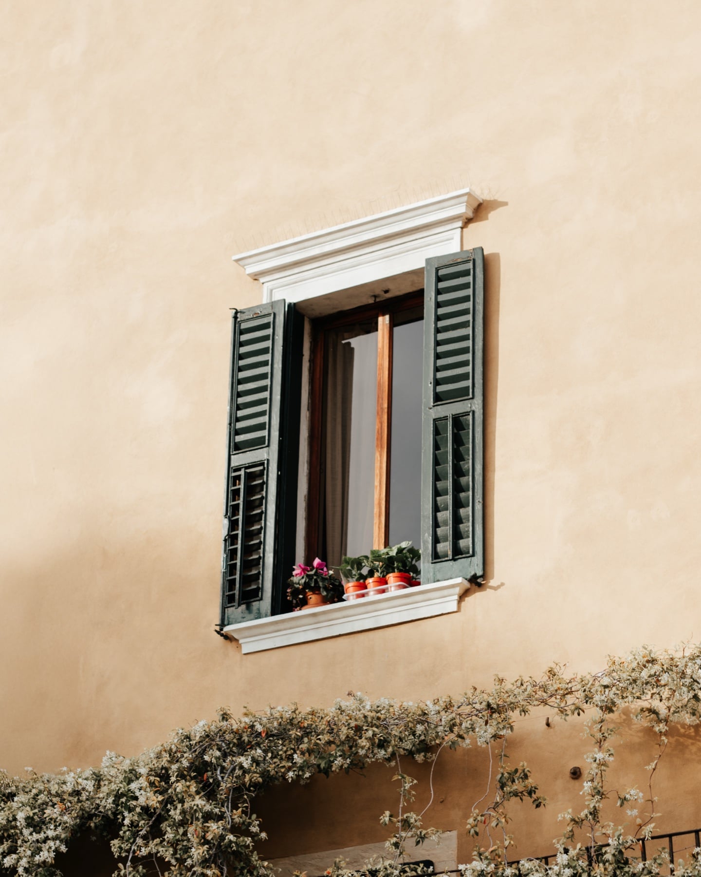 Italienisches Fenster mit grünen Fensterläden und Blumentöpfen vor sandfarbener Putzfassade
