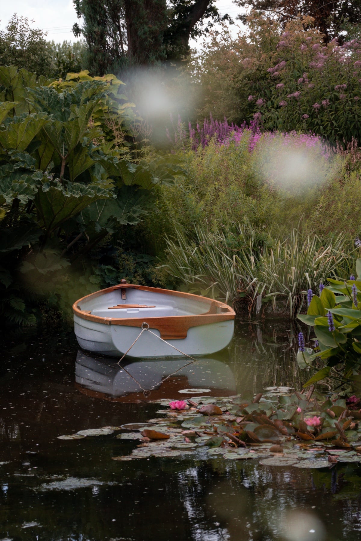 Kleines Holzboot auf einem Teich zwischen Seerosen und Lavendel