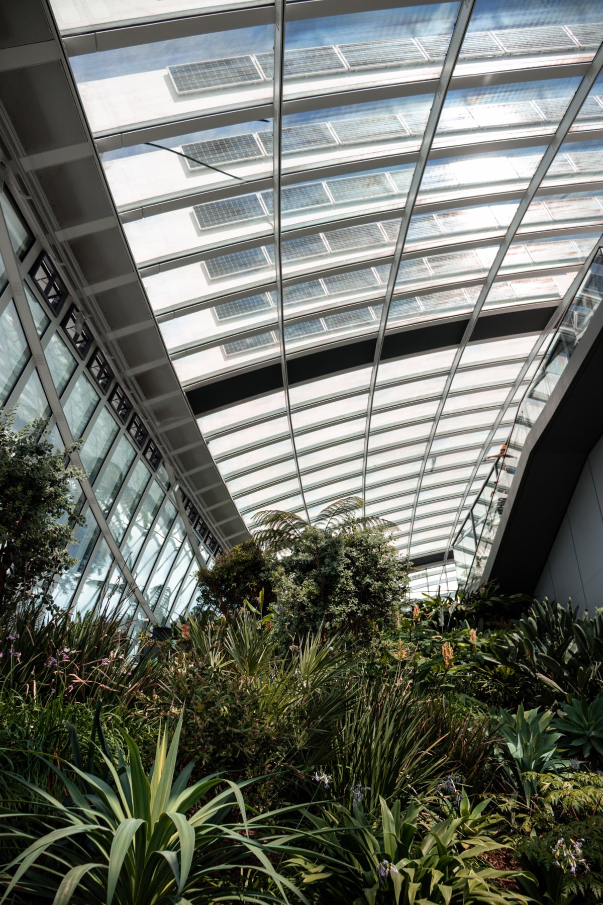 Glaskuppel des Londoner Sky Garden mit tropischen Pflanzen im Vordergrund